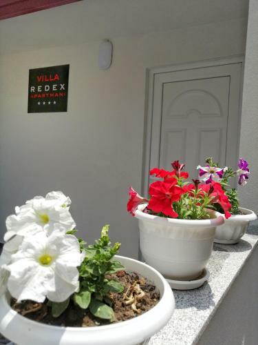 Redex Apartments