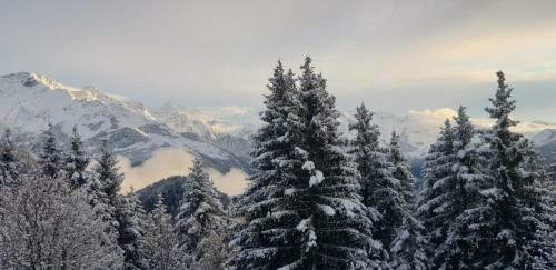 Apartamento Ski Pied Des Pistes