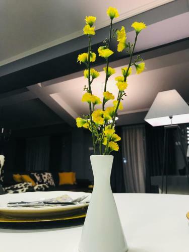 Vnvp Apartment