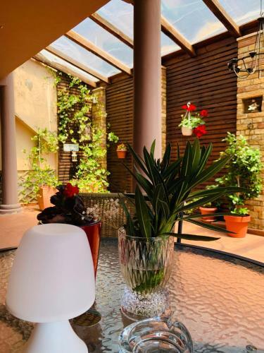 Apartamento Black Amber