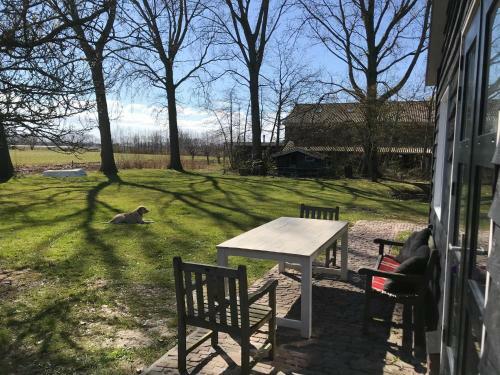 Ijsselmeer Lake Houses