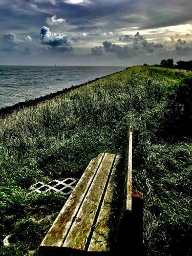 Ijsselmeer Lake Houses