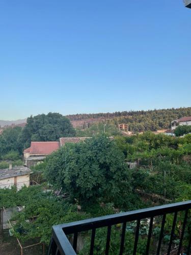 Entire Spacious Apartment With Free Parking