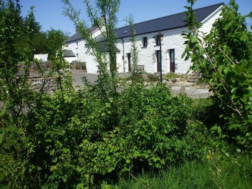 Hostal Beili Helyg Guest House