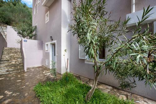 Summer Apartments In Petrovac