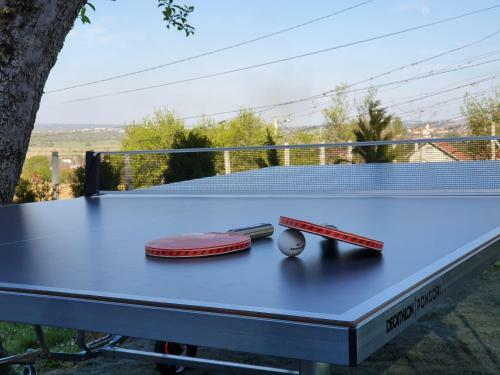Holiday Home Beretinec Hills