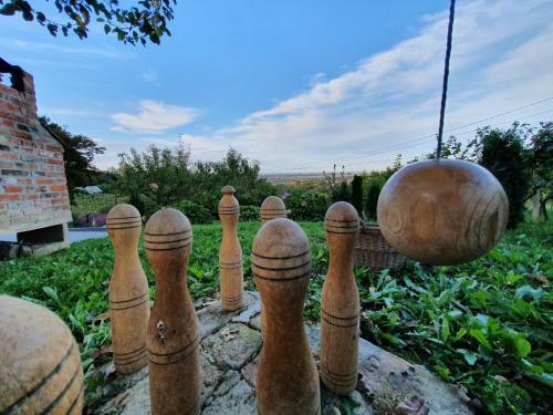 Holiday Home Beretinec Hills