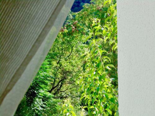 Apartamento Brnovic
