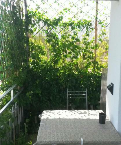 Marko Apartments