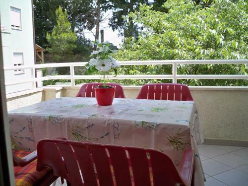 Apartmani Perkovic