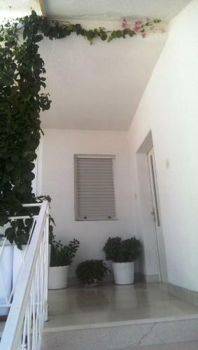Hostal Apartmani Carevi?