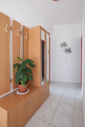 Apartments Dragan