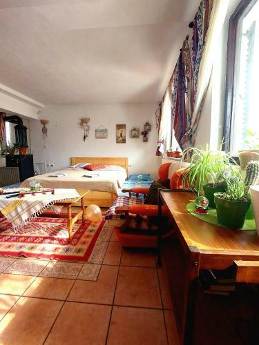 Apartment With A View - Matka