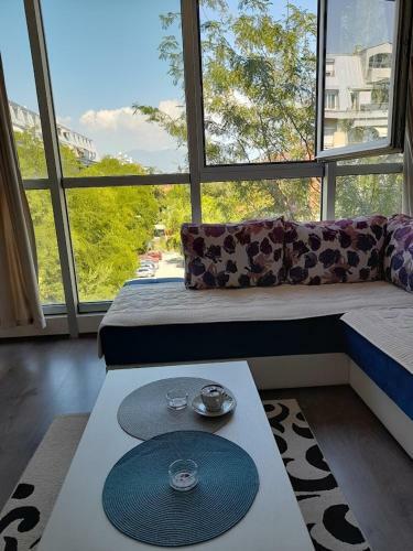 Blue Corner Apartment