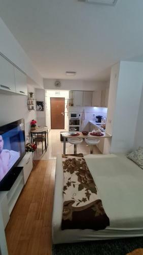 Elena 2 Apartment