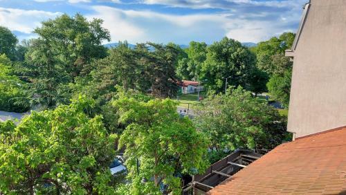 Marvelous One Bedroom Park Apartment Van Gogh