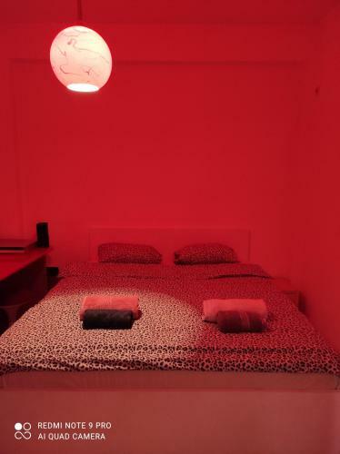 Apartment Denica