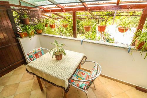 Hostal Studio Apartments & Room Gilda