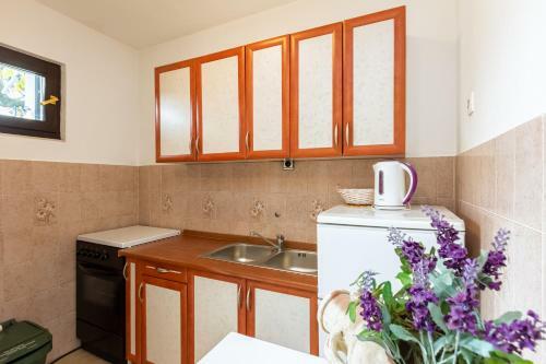 Apartments Sucur With Terrace