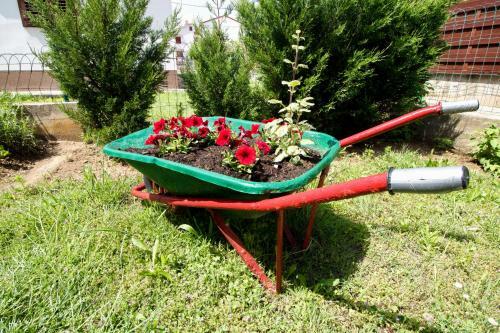 Hostal Rooms & Apartment Albina