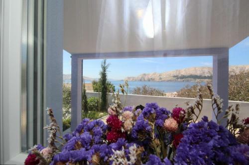 Apartments Lavanda - Kricin