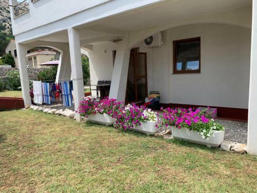 Apartamento Vila Tesmija