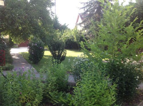 Majn�r Villa Apartmanh�z
