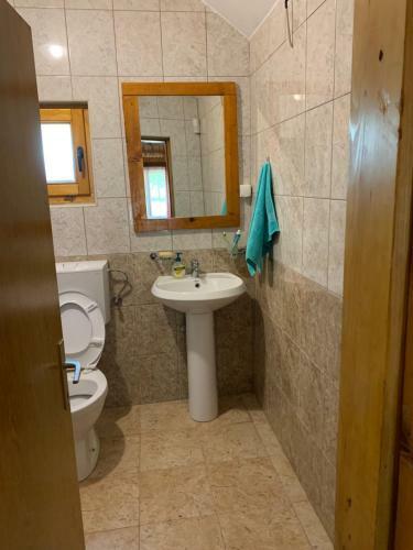 Mountain Cottage Komarnica