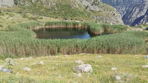 Hostal Guest House Temur Sujashvili