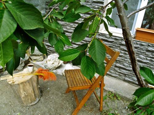 Apartamento Cherry House