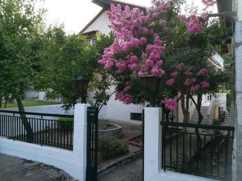 Verde Rete Apartments