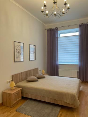 Apartamento Zemgale 9-6
