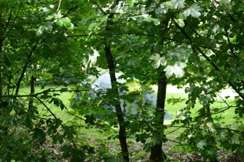 Lege Kampeerplaats, Camping Alkenhaer
