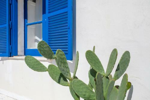 Don Bruno Homes