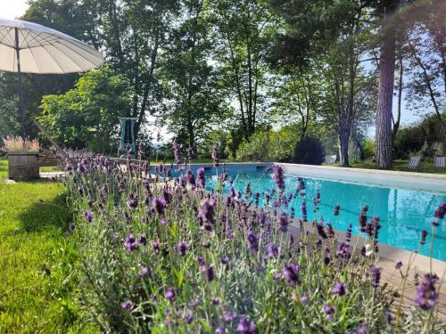 Bed & Breakfast Oh, Le Ch�teau!