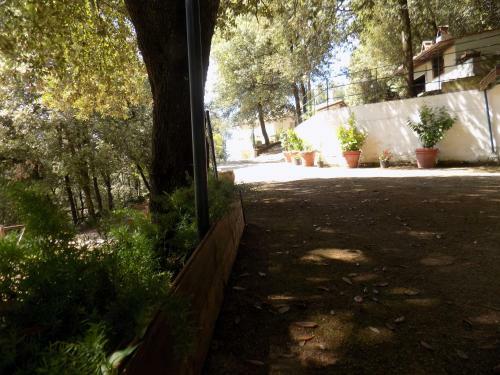 Hostal Room In Bb - Bb Il Leccio , Umbria