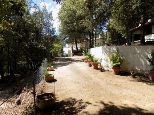 Hostal Room In Bb - Bb Il Leccio , Umbria