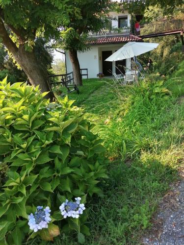 Apartamento Balconata Sul Lago