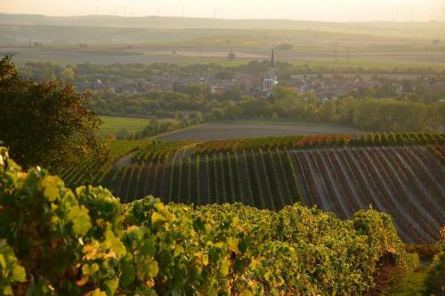 Apartamento Wohnen Im Mediterranen Ehemaligen Winzergeh�ft