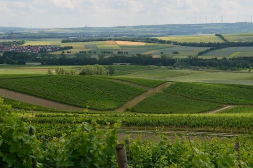 Apartamento Wohnen Im Mediterranen Ehemaligen Winzergeh�ft