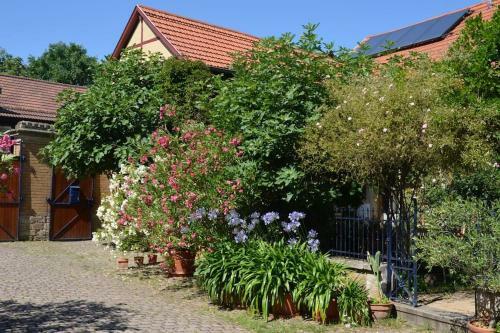 Apartamento Wohnen Im Mediterranen Ehemaligen Winzergeh�ft