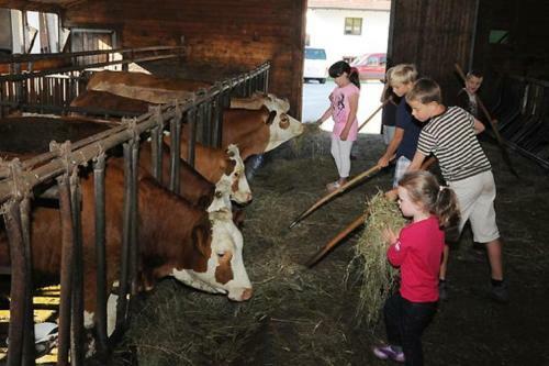 Agroturismo Exenbacher Hof