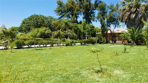 Amarynthos Beachfront Vacation House With Garden