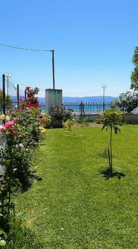 Amarynthos Beachfront Vacation House With Garden