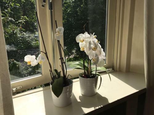 Apartamento Cityaparthotel Rijnzicht