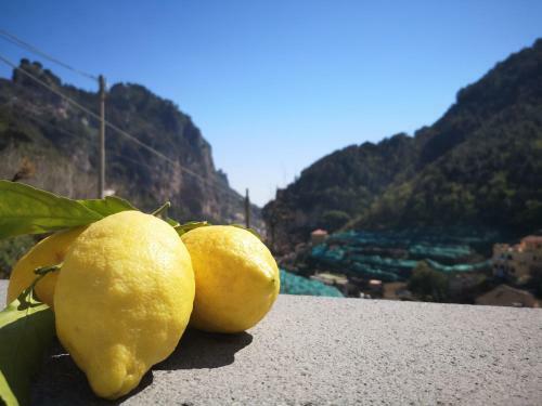 Fior D'arancio