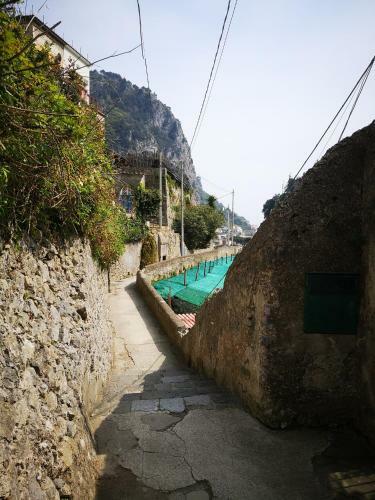 Fior D'arancio
