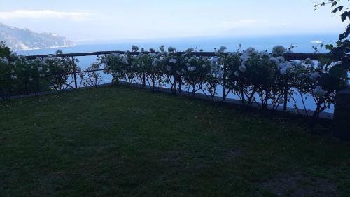 Cielo E Mare