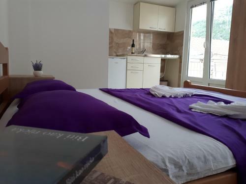 Apartments Vitic