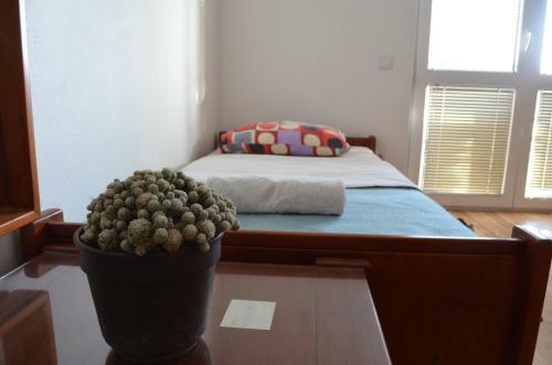 Apartment Folic Sutomore